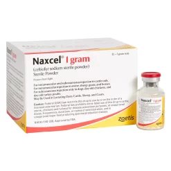ZOETIS Naxcel Powder Rx
