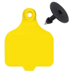 DuFlex Large Blank Tags