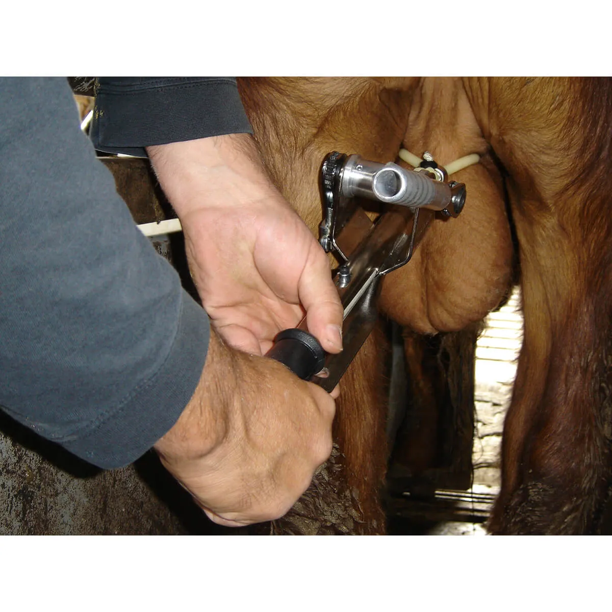 Callicrate Smart Bander Bloodless Castrator - Image 2