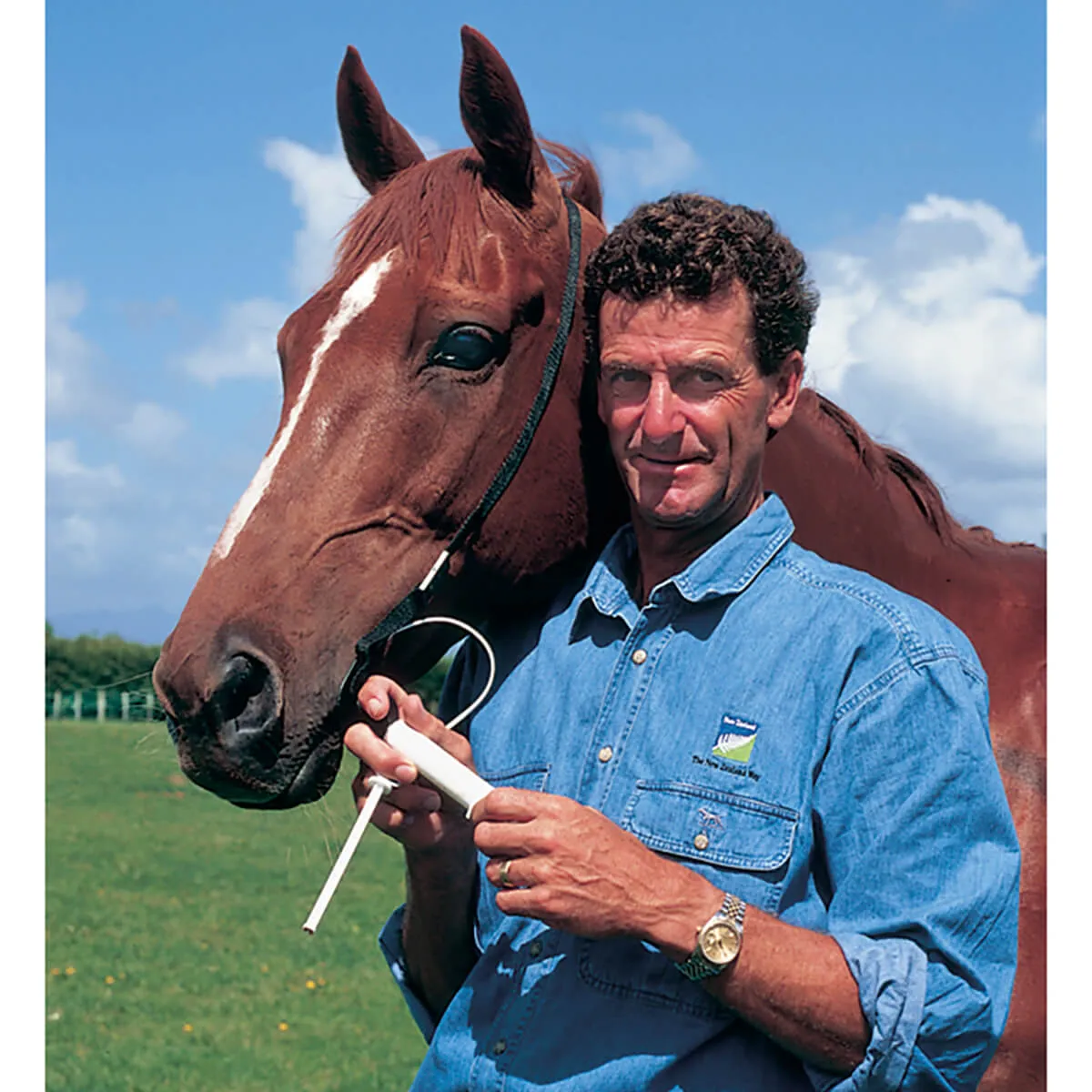 Hamilton Grooma Easy Wormer - Image 2