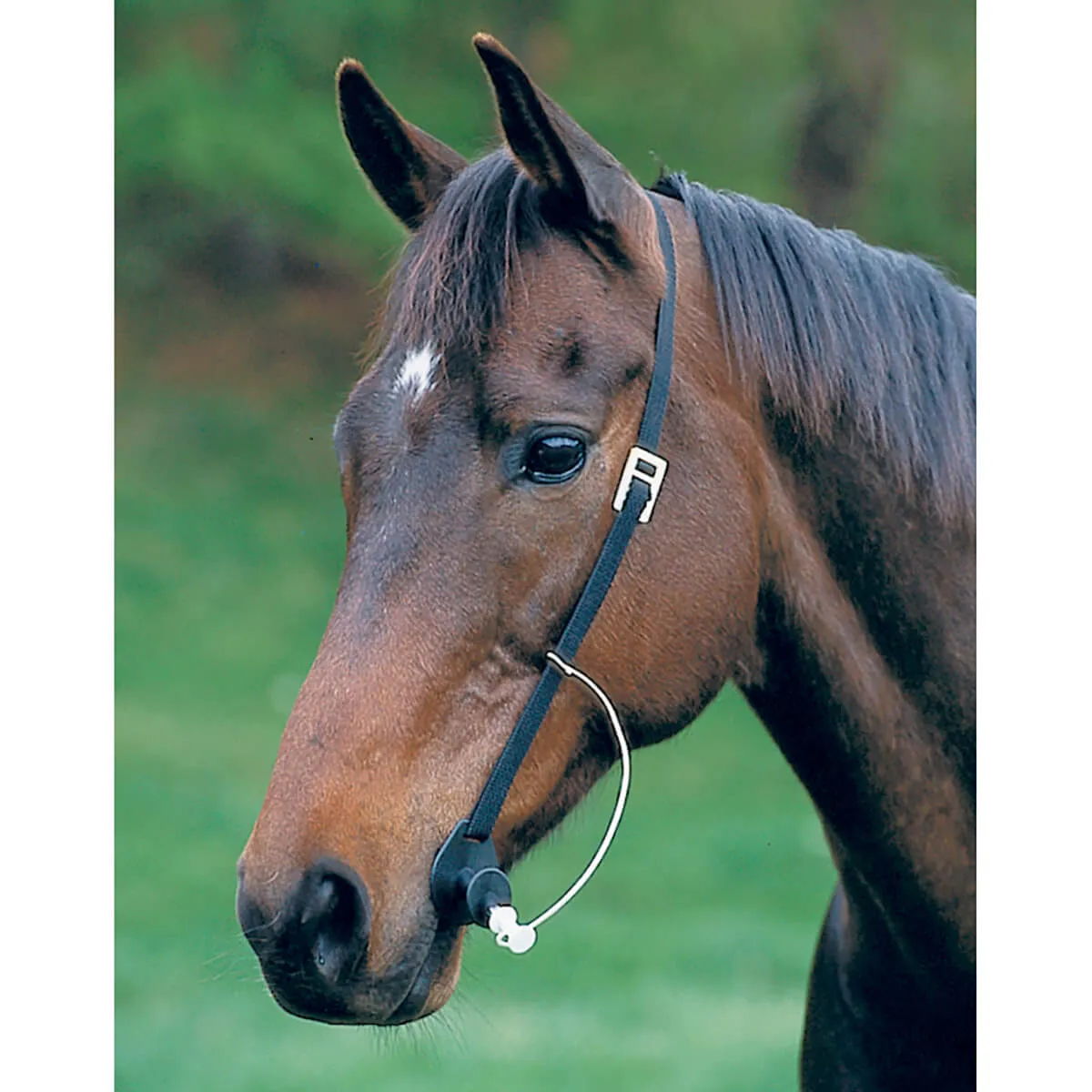 Hamilton Grooma Easy Wormer - Image 3