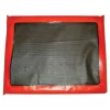 Entrance Disinfection Mat
