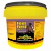 Feet First Coat 2nd Horse Supplement