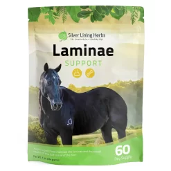 Laminae Support For Horses