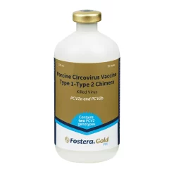 ZOETIS Fostera Gold PCV Swine Vaccine