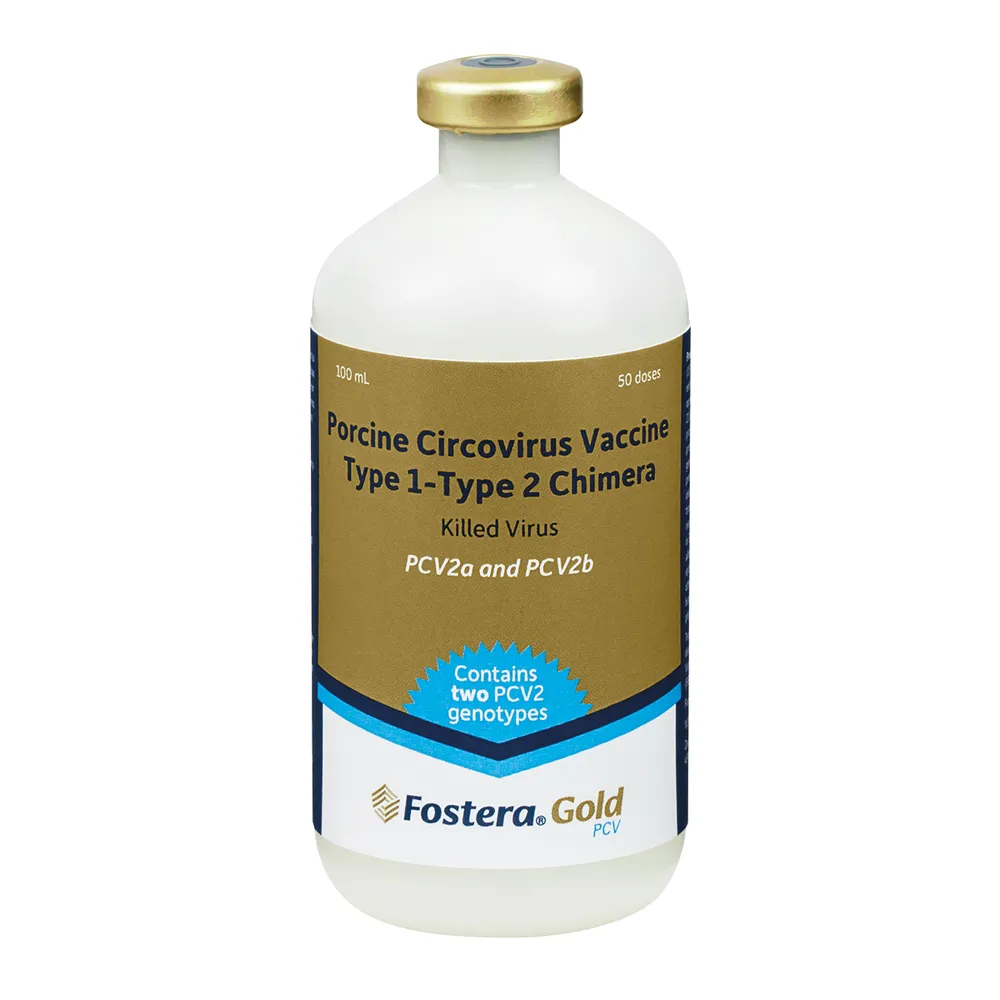 ZOETIS Fostera Gold PCV Swine Vaccine