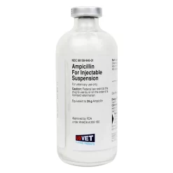 Ampicillin Injectable Rx