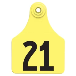 Allflex Global Large Numbered Tags