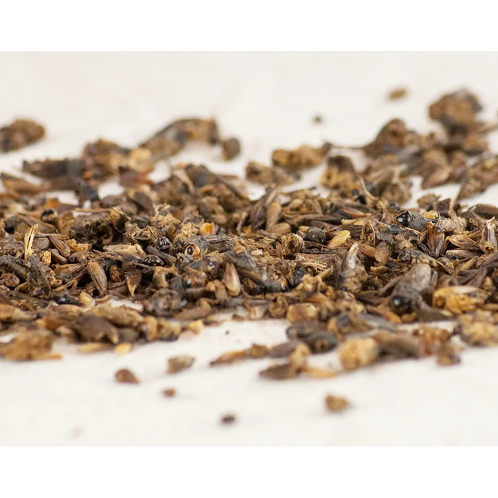 Happy Hen Treats Cricket Craze - Image 2