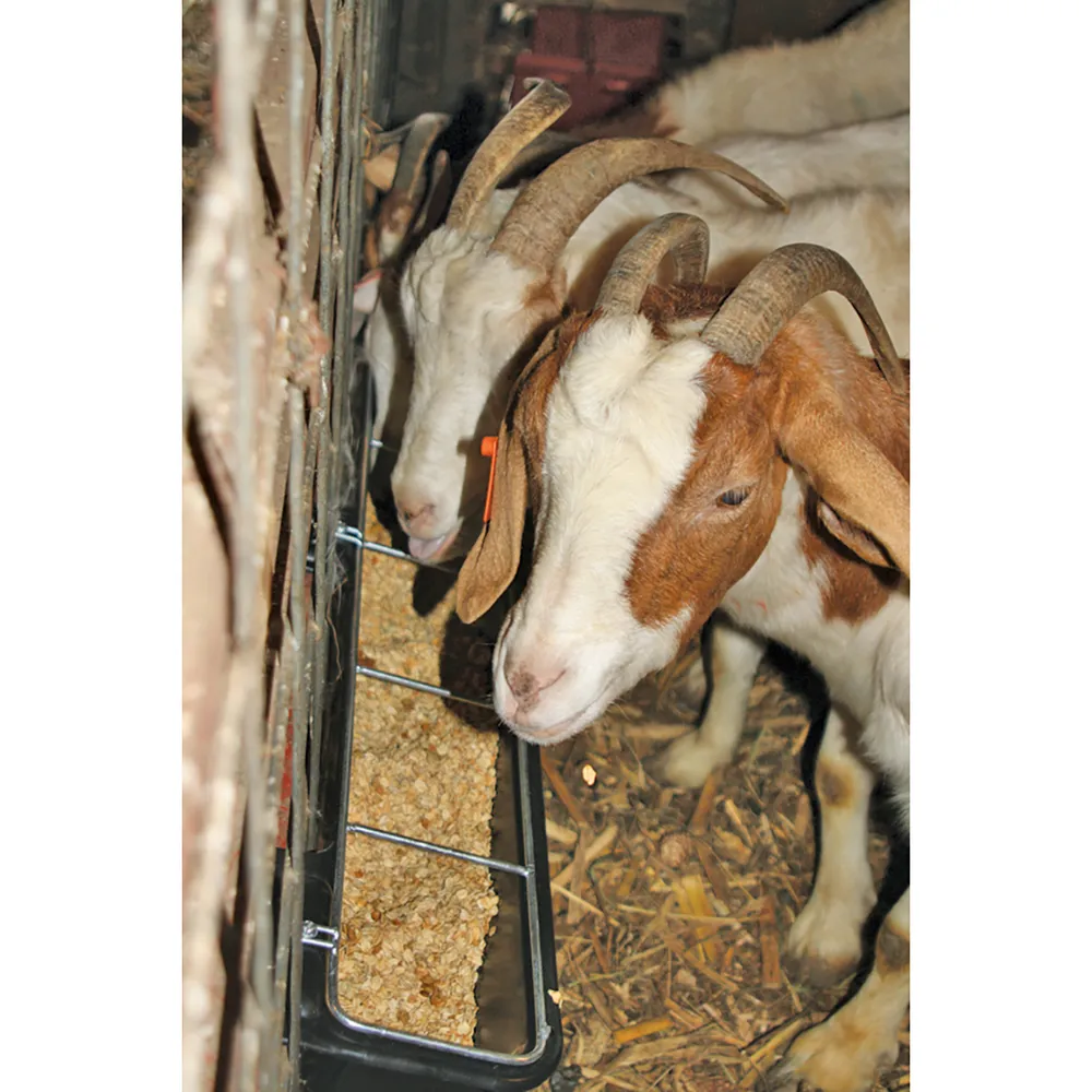 Hook Over Goat Trough - Image 3