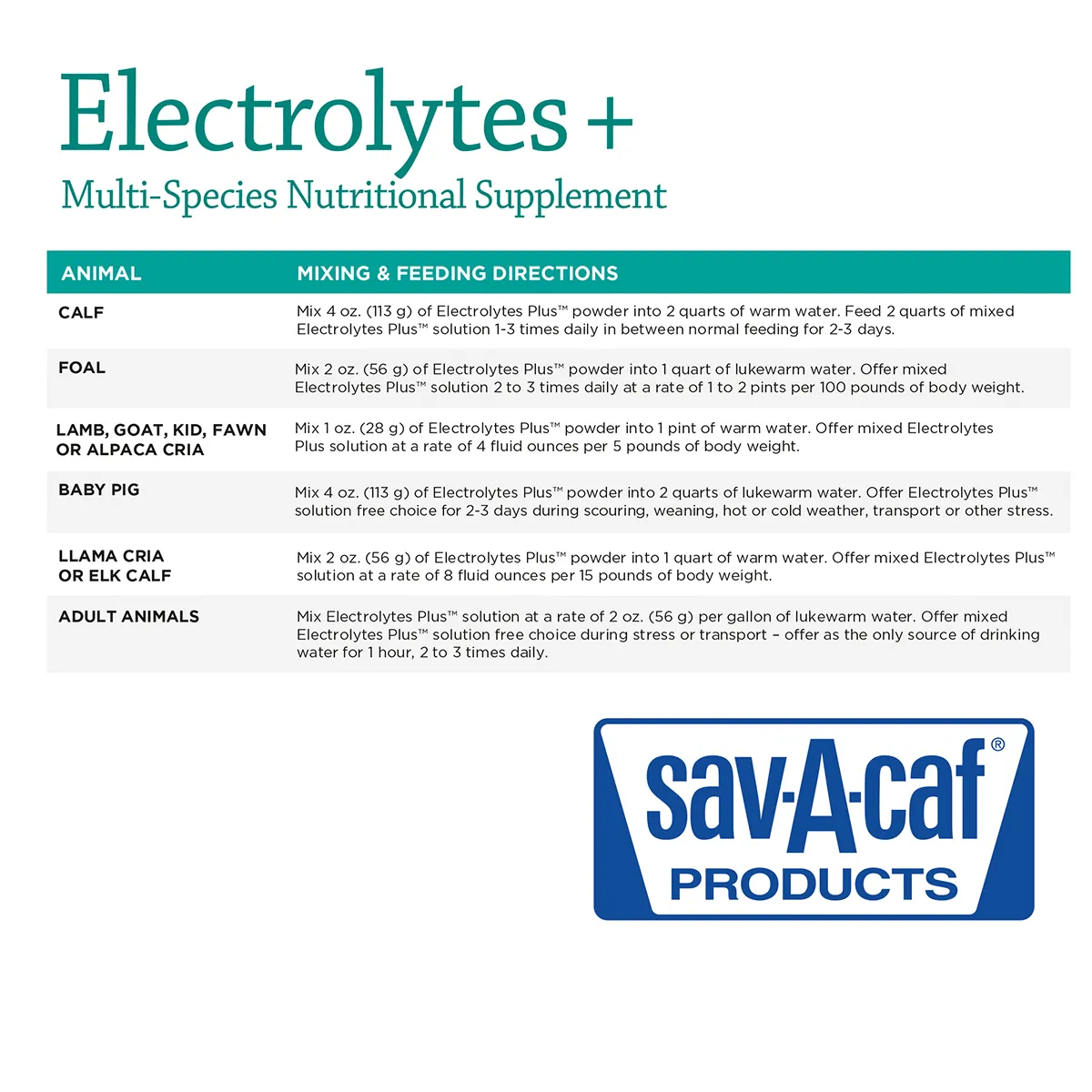 Electrolytes + - Image 3