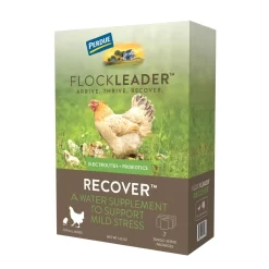 FlockLeader RECOVER Poultry Supplement