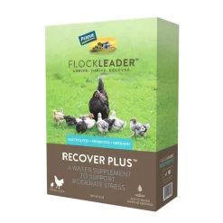FlockLeader RECOVER PLUS Poultry Supplement
