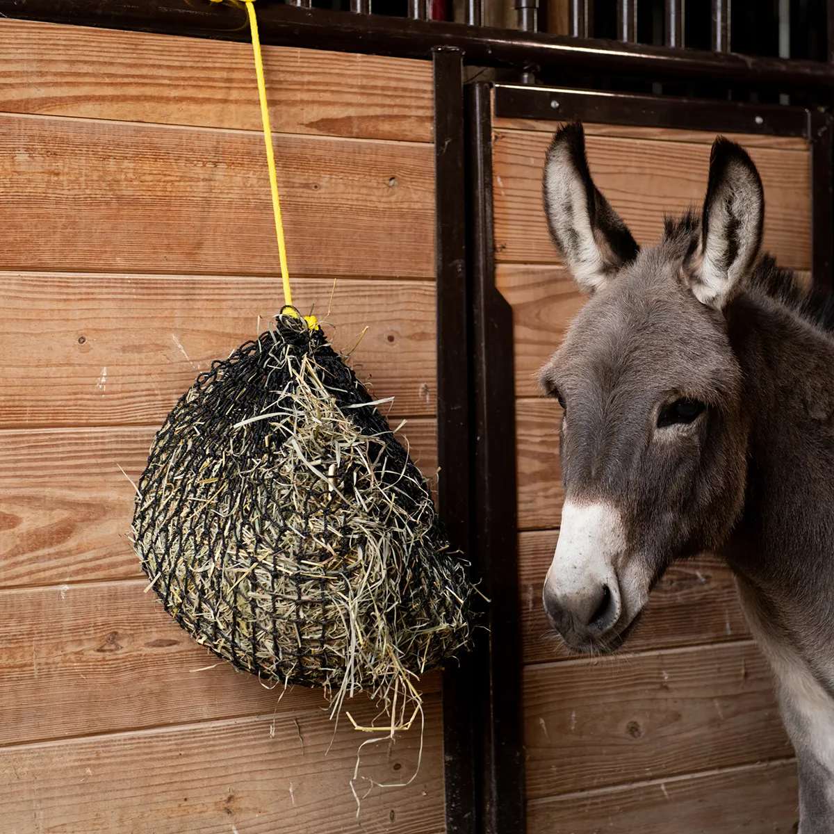 Small Hay Net - Image 5