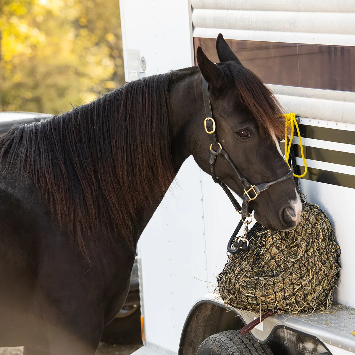 Small Hay Net - Image 6