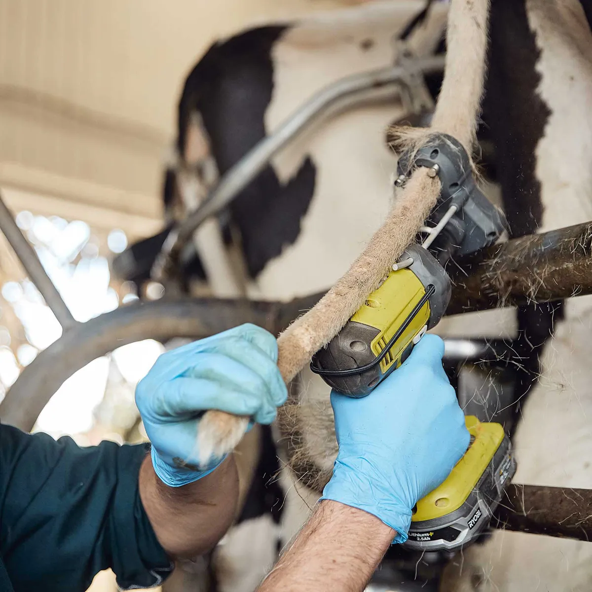 Tailwell Titanium Trimmer Kit - Image 3